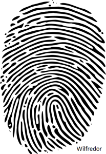 432px-Fingerprint_picture.svg